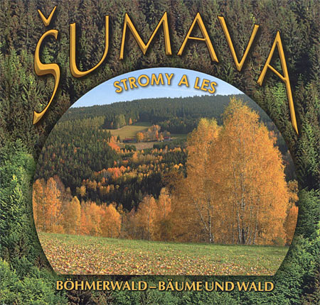 Šumava Stromy a Les